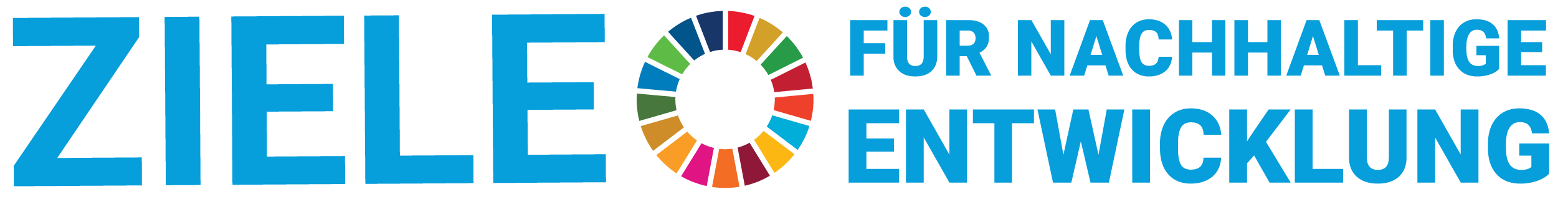 SDG_logo_DE_No UN Emblem_WEB_Transparent-01